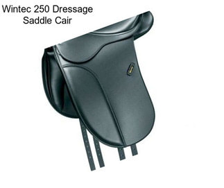 Wintec 250 Dressage Saddle Cair