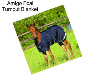 Amigo Foal Turnout Blanket