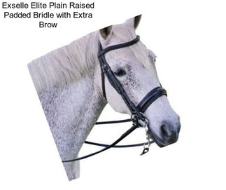 Exselle Elite Plain Raised Padded Bridle with Extra Brow