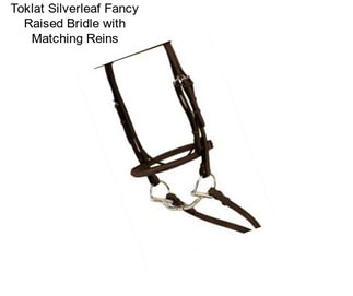 Toklat Silverleaf Fancy Raised Bridle with Matching Reins