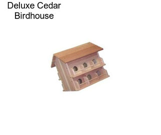 Deluxe Cedar Birdhouse