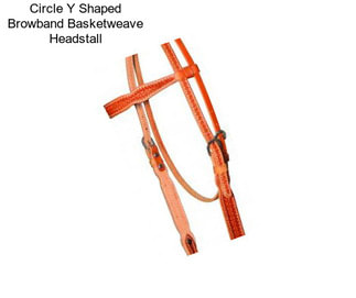 Circle Y Shaped Browband Basketweave Headstall