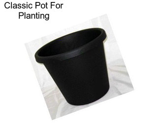 Classic Pot For Planting