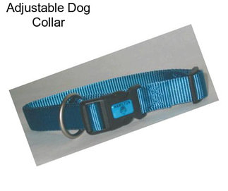 Adjustable Dog Collar