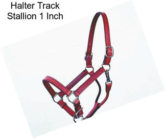 Halter Track Stallion 1 Inch