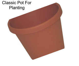 Classic Pot For Planting