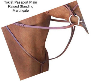 Toklat Passport Plain Raised Standing Martingale