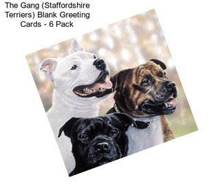 The Gang (Staffordshire Terriers) Blank Greeting Cards - 6 Pack