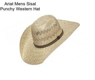 Ariat Mens Sisal Punchy Western Hat