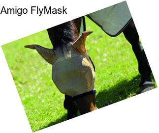 Amigo FlyMask