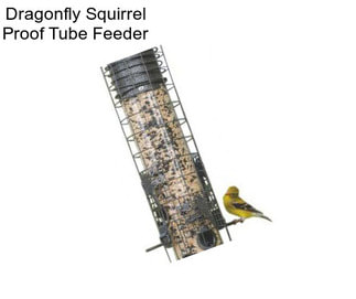 Dragonfly Squirrel Proof Tube Feeder