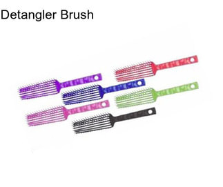 Detangler Brush