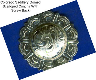 Colorado Saddlery Domed Scalloped Concha With Screw Back