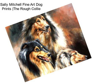 Sally Mitchell Fine Art Dog Prints |The Rough Collie