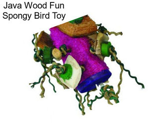 Java Wood Fun Spongy Bird Toy