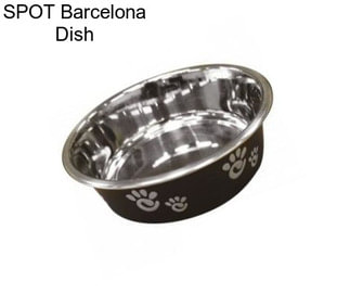 SPOT Barcelona Dish