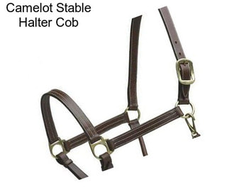 Camelot Stable Halter Cob