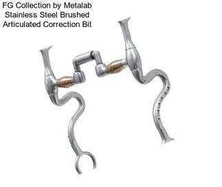 FG Collection by Metalab Stainless Steel Brushed Articulated Correction Bit