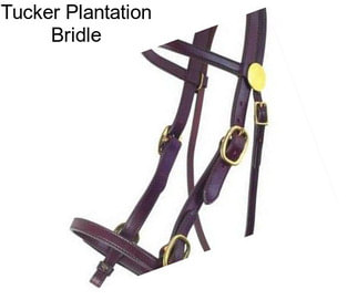 Tucker Plantation Bridle