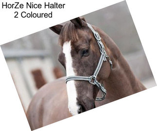 HorZe Nice Halter 2 Coloured