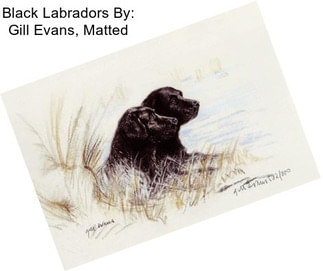 Black Labradors By: Gill Evans, Matted