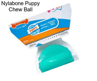 Nylabone Puppy Chew Ball