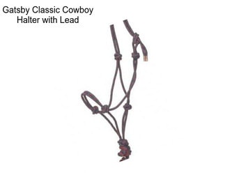 Gatsby Classic Cowboy Halter with Lead