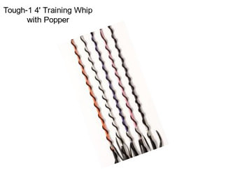 Tough-1 4\' Training Whip with Popper