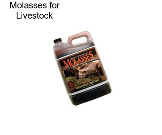 Molasses for Livestock