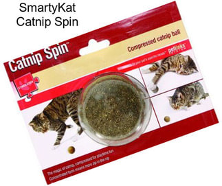SmartyKat Catnip Spin