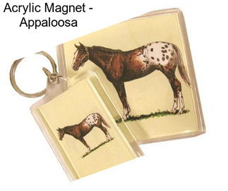 Acrylic Magnet - Appaloosa