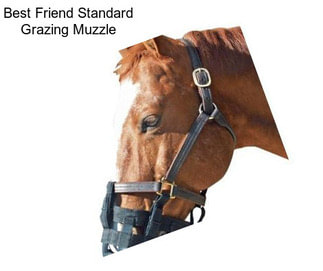 Best Friend Standard Grazing Muzzle