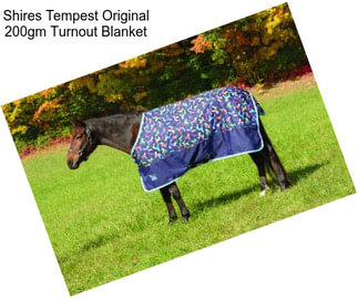 Shires Tempest Original 200gm Turnout Blanket