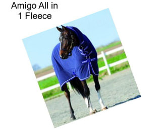 Amigo All in 1 Fleece