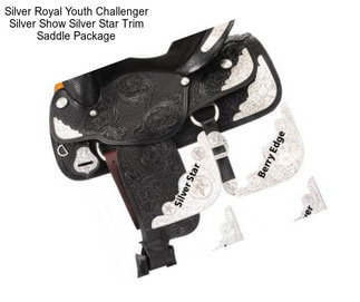 Silver Royal Youth Challenger Silver Show Silver Star Trim Saddle Package