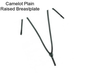 Camelot Plain Raised Breastplate