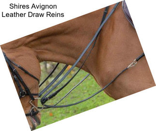 Shires Avignon Leather Draw Reins