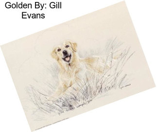 Golden By: Gill Evans