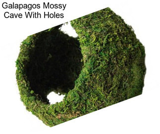 Galapagos Mossy Cave With Holes