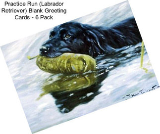 Practice Run (Labrador Retriever) Blank Greeting Cards - 6 Pack