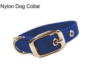 Nylon Dog Collar