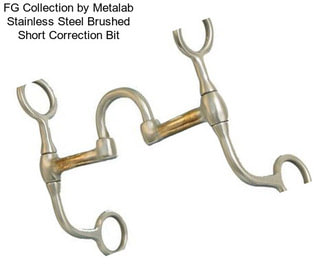 FG Collection by Metalab Stainless Steel Brushed Short Correction Bit