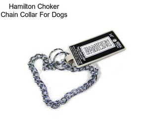 Hamilton Choker Chain Collar For Dogs