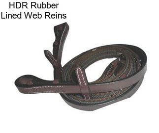 HDR Rubber Lined Web Reins