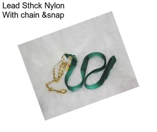 Lead Sthck Nylon With chain &snap