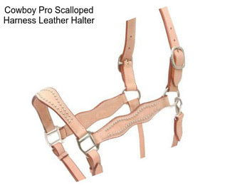 Cowboy Pro Scalloped Harness Leather Halter