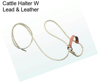 Cattle Halter W Lead & Leather