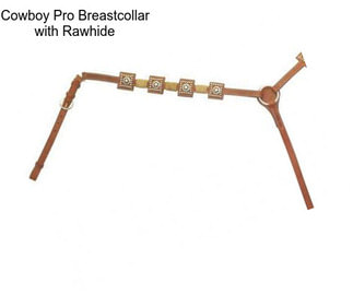 Cowboy Pro Breastcollar with Rawhide