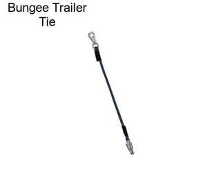 Bungee Trailer Tie