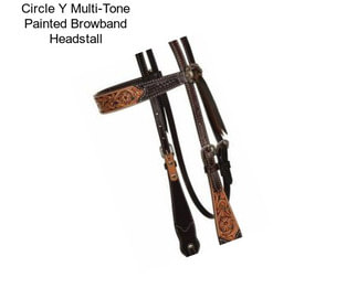 Circle Y Multi-Tone Painted Browband Headstall